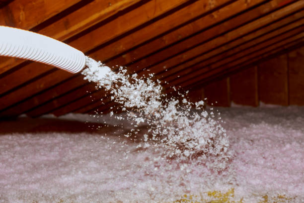 Best Cellulose Insulation in Pooler, GA