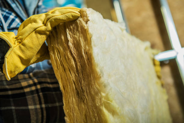 Best Eco-Friendly Insulation in Pooler, GA
