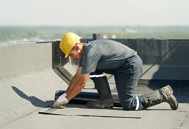 Best Specialized Insulation Services in Pooler, GA